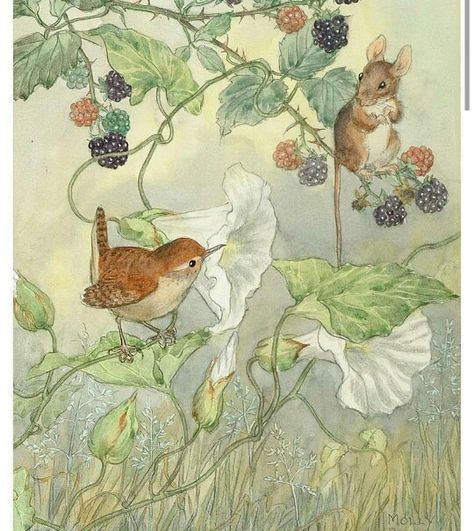 Bird and Bunny Beatrix Potter Illustrations, Beatrice Potter, 동화 삽화, Oita, Fairytale Art, Arte Animal, Art And Illustration, Beatrix Potter, Childrens Art