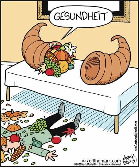 Funny Thanksgiving Pictures, Turkey Jokes, Thanksgiving Meme, Thanksgiving Puns, Mark Parisi, Thanksgiving Quotes Funny, Thanksgiving Jokes, Thanksgiving Cartoon, Off The Mark