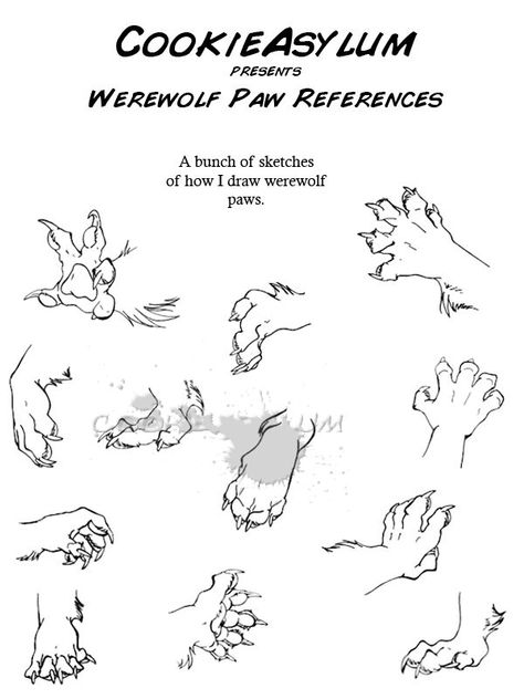 Dragon Paws Reference, Werewolf Drawing, Animal Paws, Draw Tutorial, Werewolf Art, Wolf Drawing, Anatomy Drawing, Body Drawing, Animal Sketches