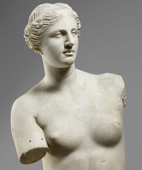 Final Art Project, Venus Of Milo, Roman Statues, Ancient Greek Goddess, Classical Sculpture, Roman Statue, Art Statues, Greek Statues, Marble Statues