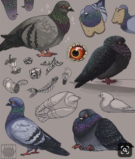 Pigeons Drawing, Pigeon Drawing, Pigeon Illustration, Pigeon Tattoo, Pigeon Art, Arte Indie, Bel Art, Art Mignon, Fun To Draw