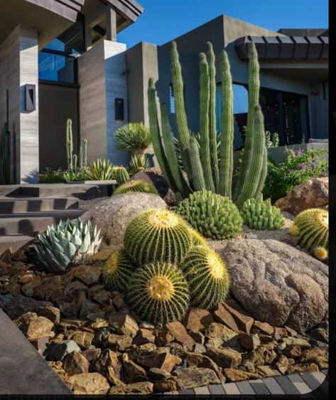 Modern Desert Front Yard, Red Yucca Landscape, Xeriscape Backyard, Fence Edging Ideas, Front Garden Landscaping, Desert Plants Landscaping, Fall House Decor, Cactus Garden Design, Desert Landscaping Backyard