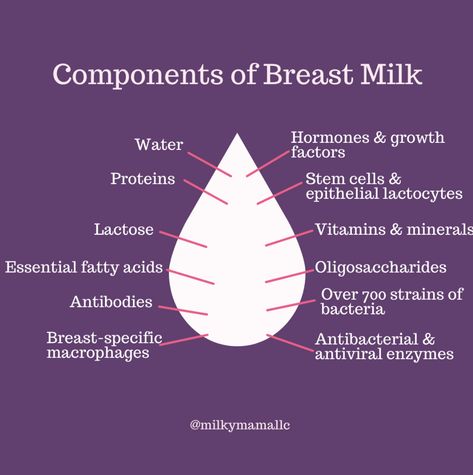 Repost from @milkymamallc It's no secret breastmilk is the perfect source of nutrition for your baby.⠀⠀⠀⠀⠀⠀⠀⠀⠀ ⠀⠀⠀⠀⠀⠀⠀⠀⠀ The American Academy of Pediatrics (AAP) strongly recommends exclusive breastfeeding for the first six months of life and that breastfeeding continues for at least 12 months.⠀⠀⠀⠀⠀⠀⠀⠀⠀ ⠀⠀⠀⠀⠀⠀⠀⠀⠀ So, what's in breastmilk that makes it so perfect? Checkout the 12 main components in your breastmilk. Exclusive Breastfeeding, Essential Fatty Acids, Stem Cells, Breast Milk, Fatty Acids, Vitamins And Minerals, Thing 1 Thing 2, Pediatrics, Baby Stuff