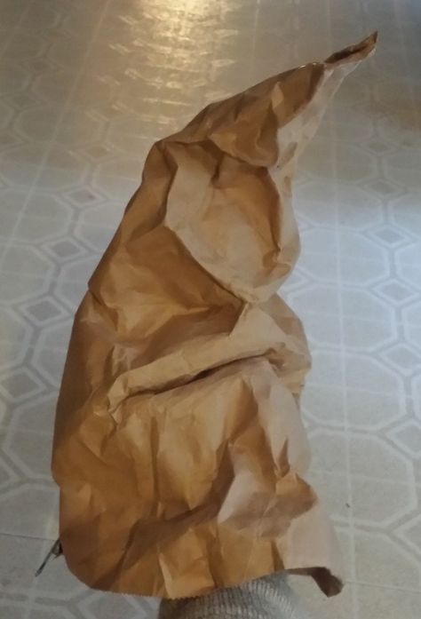 Not Very Furious — Paper Bag Sorting Hat Diy Sorting Hat Harry Potter, Diy Sorting Hat, Brown Packing Paper, Harry Potter Activities, Harry Potter Movie Night, Hogwarts Party, Harry Potter Theme Birthday, Cumpleaños Harry Potter, Harry Potter Christmas Tree