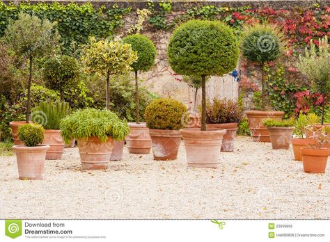 Mediterranean Patio With Flowerpots Stock Photo - Image of residental, balcony: 23939856 French Terrace, Mediterranean Patio, Mediterranean Plants, Patio Plants, Mediterranean Garden, Backyards, Horticulture, Outdoor Seating, Flower Pots