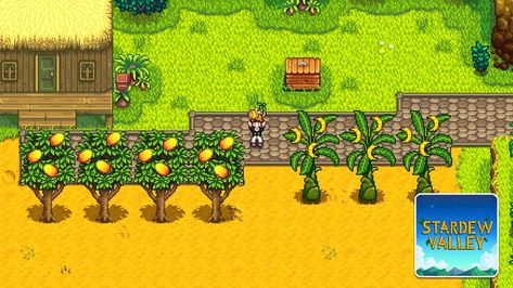 Stardew Valley – How to Plant and Grow Trees 🔥 Stardew Valley is all about planting some crops and making money when harvest day comes. Though you will usually want to only plant vegetables, you might also occasionally want to plant and grow some trees. Fruit trees are a great source of constant income, as they bring you fruits every day if they are in […] ⚔ 🎮 #gaming #news #gamerempire #guide #videogames #gamingnews Stardew Greenhouse Trees, Stardew Fruit Trees, Stardew Fall Crops, Fall Crops Stardew, Stardew Valley Fall Crops, Planting Fruit Trees, Harvest Day, Banana Fruit, Corn Plant