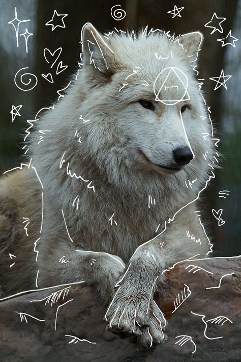 Wolf Therian, Arctic Wolf, Wolf Spirit Animal, Wolf Spirit, White Wolf, Spirit Animal, Made By Me