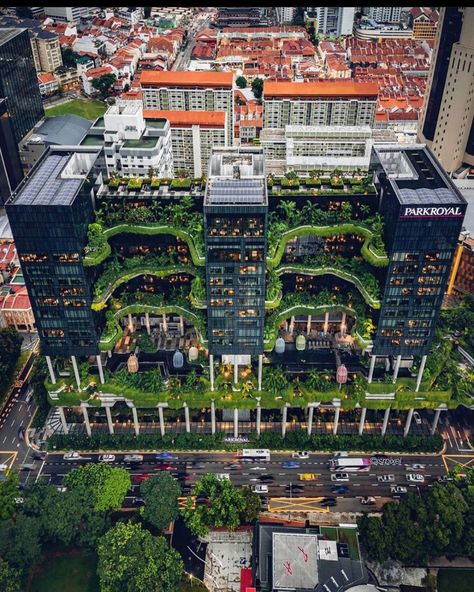 8 Landmarks in Singapore You Won't Believe Never Existed a Decade Ago Ecology Projects, Beach Entry Pool, Eco Buildings, Urban Heat Island, Green Facade, Hotel Exterior, Modern Architecture Building, Skyscraper Architecture, Green Architecture