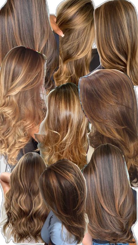 Light Brown With Caramel Highlights, Caramel Highlights On Light Brown Hair, Light Caramel Brown Hair, Honey Caramel Highlights, Honey Brown Highlights, Best Fall Hair Colors, Carmel Blonde, Hairstyles And Colors, Celebrities Hairstyles