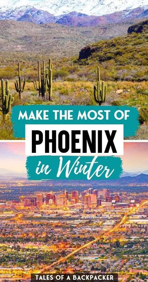 Arizona In January, Phoenix Things To Do, Phoenix Travel Guide, Arizona Christmas, Arizona Winter, Phoenix Vacation, Phoenix Travel, Best Winter Vacations, Arizona Vacation