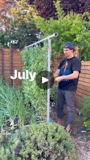 219K views · 23K reactions | We’re not pulling our snap peas just yet, but we wanted to share this example of how you can succession plant a Freyr trellis throughout the growing season! In a few weeks, our peas will be done producing and we’ll take them out to make room for a new planting of climbing summer squash. Because the trellis is modular, you can even change its height, length, or orientation when switching out plants. 

Of course, with the right crops you can succession plant on any vertical growing structure if your season is long enough, so Freyr trellis or not, keep on planting! Happy gardening 🌱♥️
.
.
.
#verticalgarden #growup #trellisgarden | Seattle Urban Farm Company | SNAP! · Rhythm Is a Dancer (7" Edit) Rhythm Is A Dancer, Vertical Growing, Vertical Trellis, Vegetable Garden Tips, Succession Planting, Urban Farm, Veggie Patch, Snap Peas, Summer Squash