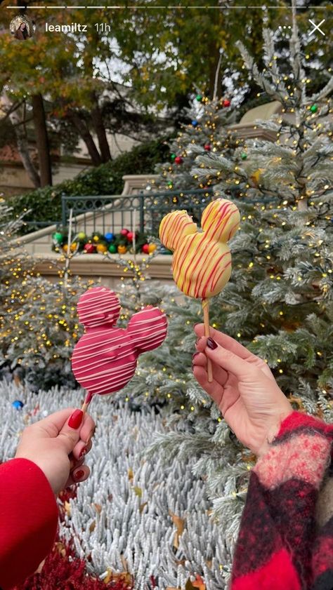 Food Disneyland, Disneyland Paris Christmas, Snacks Christmas, Disneyland Snacks, Disney Duos, Christmas Party Planning, Year Aesthetic, Disney Desserts, Disneyland Christmas