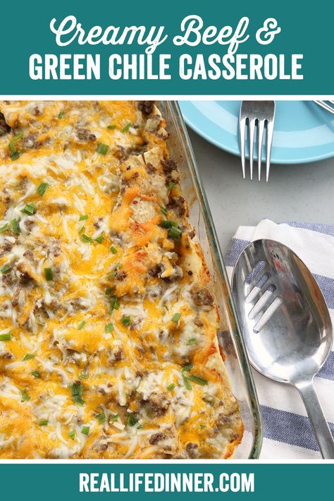 Dinner Enchiladas, Green Chile Casserole, Green Chili Casserole, Enchiladas Beef, Green Chili Enchiladas, Chili Casserole, Green Chile Recipes, Green Chili Recipes, Ground Beef Chili