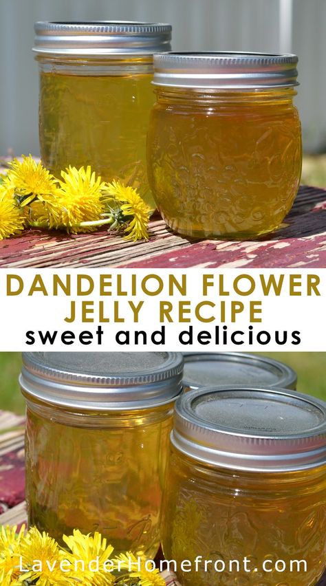 Dandelion Jelly Recipe, Dandelion Salve, Flowers Recipes, Witch Recipes, Homestead Recipes, Flower Jelly, Edible Flowers Recipes, Syrup Recipes, Produce Recipes