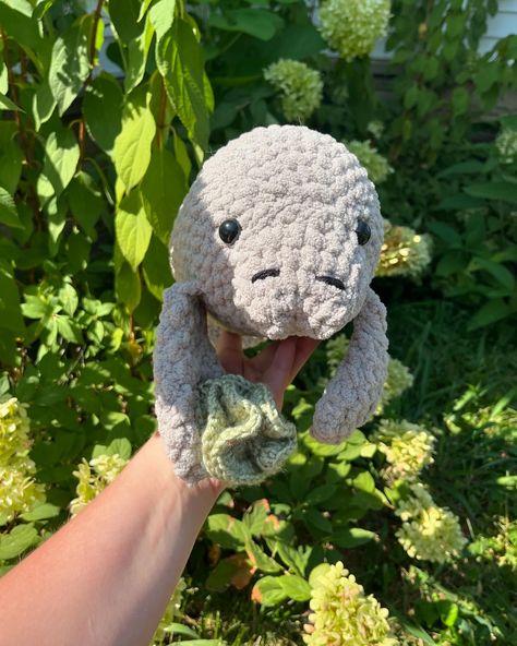 Marina the Manatee pattern by @mamacrochetti I made this a few months ago and I still cannot get over how cute it is 🥹 #crochet #manatee #hobbylobby #honeybeeyarn Crochet Manatee Free Patterns, Manatee Crochet Pattern Free, Manatee Crochet Pattern, Crochet Manatee, Pattern Free, Hobby Lobby, Free Crochet Pattern, Crochet Pattern, Free Pattern