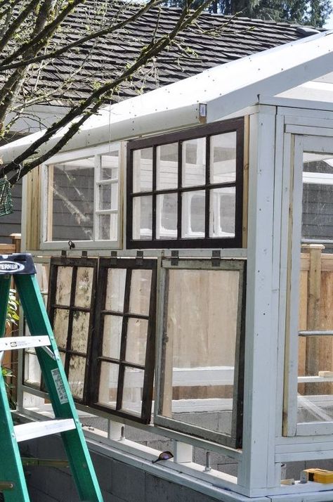 We were inspired to build this greenhouse from a pile of vintage windows that we found on my parents' property. This stack of single-paned windows ended up becoming a space for me to start and nurture my seedlings - and is now where I am growing my tomatoes and peppers this summer. This is a wonderful way to create your own growing space - or backyard escape! - using upcycled windows that are easily found in ReStores or on online classified sites. Here it is, in its finished glory! W… Upcycled Windows, Paned Windows, Cold Frame Diy, Window Greenhouse, Backyard Escape, Diy Greenhouse Plans, Pallet Shed, Outdoor Greenhouse, Greenhouse Shed