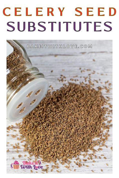 Baking Substitutions, Zucchini Relish, Salt Substitute, Spice Combinations, Cooking Substitutions, Baking Substitutes, Spice Cabinet, Caraway Seeds, Celery Seed