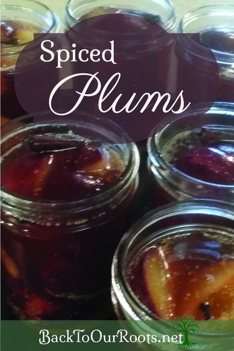 Spiced Plums for home canning. Sweet and tart, cinnamony with a hint of cloves. Canning Plums, Bread Pudding Sauce, Canned Plums, Easy Canning, Plum Recipes, Canning Recipe, Canning Tips, Home Canning, Pressure Canning