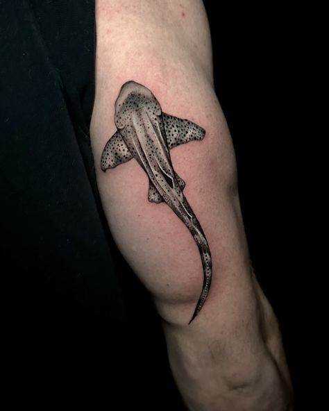 Leopard shark for @braydon_121 Thanks for coming @sacred_hearttattoo Leopard Shark Tattoos, Leopard Shark Tattoo, Blacktip Shark Tattoo, Shark Tattoo Dotwork, Shark Men’s Tattoo, Leopard Shark, Thanks For Coming, Tattoos, Quick Saves