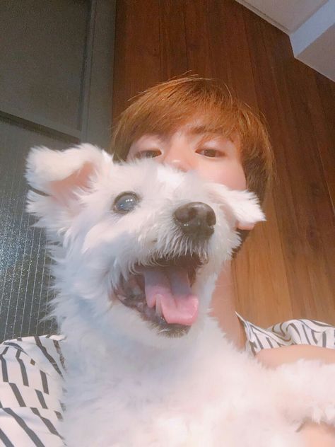 This is the bet picture of jin in the entire world fite me hoe if you don't agree  #Jin #Dog Bts Dogs, Putao, World Wide Handsome, Seokjin Bts, Jin Bts, Worldwide Handsome, Kim Seok Jin, Rap Monster, Bts Bangtan Boy