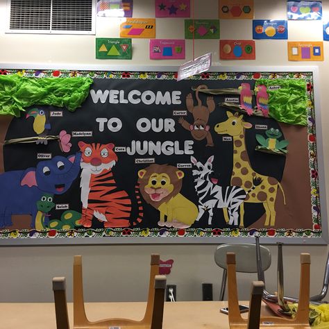 Jungle Jungle Bulletin Board Ideas Classroom Decor, Safari Bulletin Boards, Bulletin Board Elementary, Jungle Bulletin Boards, Jungle Theme Classroom Decorations, World Bulletin Board, Nurse Bulletin Board, Jungle Classroom, Purple Aster