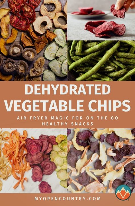 Transform your favorite vegetables into crunchy, healthy chips using your air fryer! This guide will show you how to dehydrate vegetables in an air fryer, making it a perfect snack for camping, hiking, or just a healthy alternative at home. From sweet potatoes to zucchini, get all the recipes you need to snack smart. Ninja Foodie Dehydrator Recipe, Best Dehydrated Foods, Dehydrator Seasoning, Air Fryer Radish Chips, Dehydrated Meals Recipes, Dehydrate In Air Fryer, Air Fryer Dehydrator Recipes, Dehydrating In Air Fryer, Dehydrate Vegetables