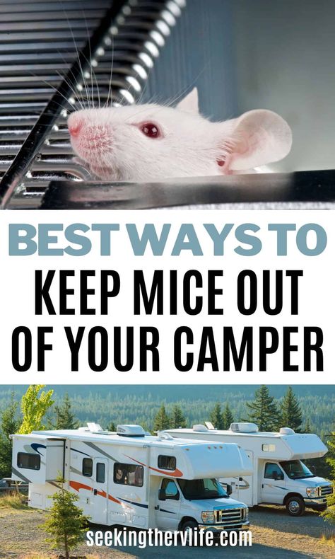 Mice may be small, but they're notorious for causing big problems, especially when it comes to invading your beloved RV. 🚫🐁 These dirty, nasty rodents can chew on wires, leave droppings everywhere, and even carry diseases. But fear not, we're here to guide you through the best methods for mouse-proofing your RV and keeping your home-on-wheels pest-free! Mouse Proofing Camper, Keeping Mice Out Of Campers, Keep Mice Out Of Camper, How To Keep Mice Out Of Camper, Diy Mice Repellent, Mice Prevention, Mouse Deterrent, How To Deter Mice, Mice Infestation