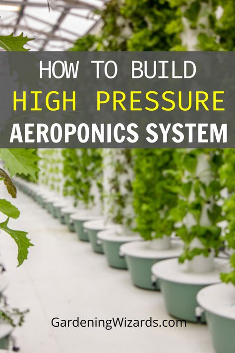 Today we’re answering this important question – how to build high-pressure aeroponics system. If you want to make your own, but don’t know how it functions or how to get it done then don’t worry. In this article, we want to give you plenty of information to make the process easier for you. If you understood the parts by now, then the rest of the process is simply connecting the parts. It’s a no-brainer. #aeroponicsystem #aeroponicgardening #aeroponics Diy Aeroponics System, Vertical Aeroponics Diy, Aeroponics Diy How To Build, Diy Aeroponics Tower, Hydroponics Diy How To Build, Diy Aeroponics, Aeroponics Diy, Aeroponics System, Gardening Kit Gift