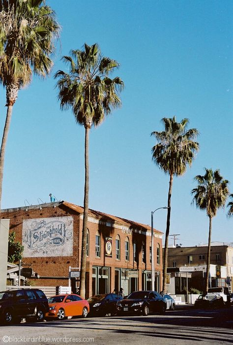 Abbot Kinney Blvd, Abbot Kinney, Cali Life, Vintage Clothing Stores, Clothing Stores, Venice Beach, Digital Nomad, Favorite City, Art Galleries