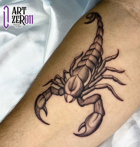 Scorpio Tattoo, Kunst Tattoos, Egypt Tattoo, Scorpion Tattoo, Tiny Tattoo, Tiny Tattoos, Tattoo Art, Scorpion, Blackwork