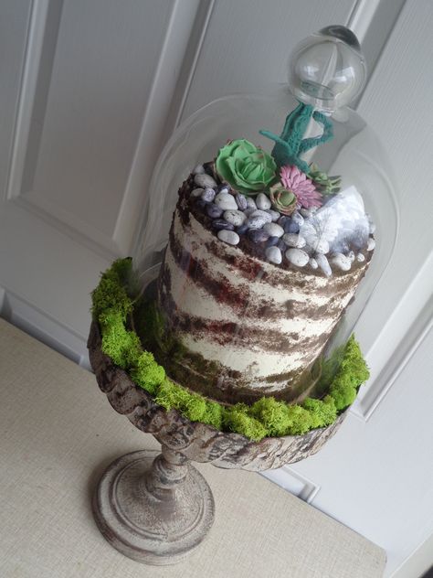 Terrarium Cake Ideas, Terrarium Trifle, Edible Terrarium Cakes, Terrarium Cake, Isomalt Dome, Edible Terrarium, Glass Cake Dome Decor Display, Terraria Cake, Edible Succulents