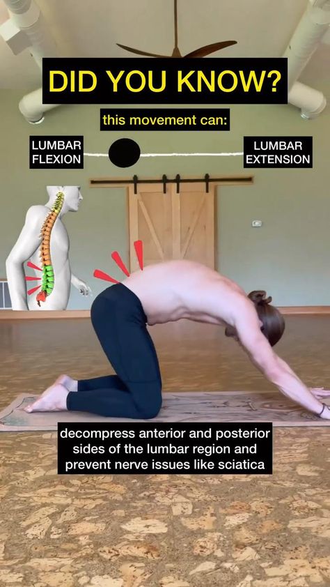 Your spine will thank you for combining child pose and upward dog pose !

Feel free to adjust each posture until you find one that suits your needs. 

Credit sayulita yoga Yoga Post, Fitness Recovery, Workout Stretches, Upward Dog, Hip Exercises, Arm Strength, Bolesti Chrbta, Bulging Disc, Pilates Exercises