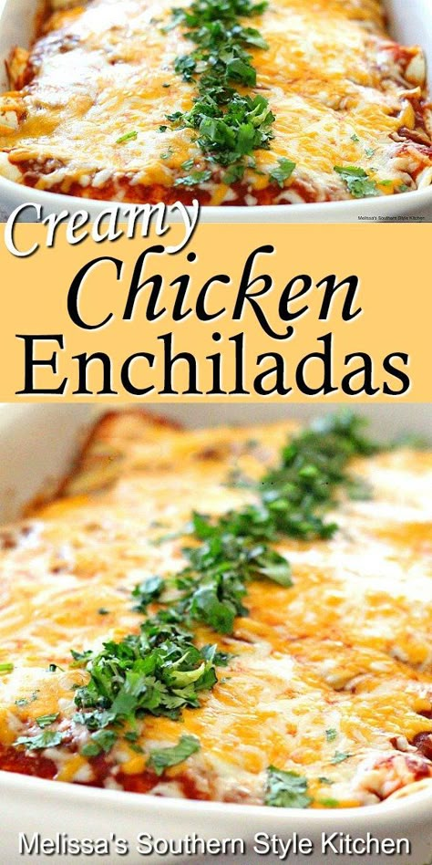 Enchiladas Chicken, Melissas Southern Style Kitchen, Chicken Casseroles, Creamy Chicken Enchiladas, Recipes Mexican, Mexican Dinner, Chicken Enchilada Recipe, Enchilada Recipes, Bon Appetite