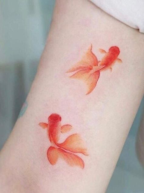 Oranda Goldfish Tattoo, Goldfish Tattoo, Oranda Goldfish, Koi Tattoo, Simplistic Tattoos, Creative Tattoos, Tattoo Inspo, Goldfish, Tattoos And Piercings