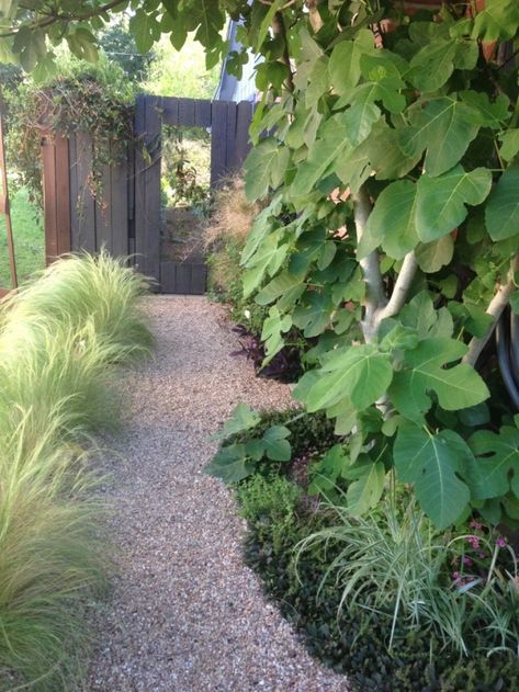 Gravel Pathway Ideas, Pea Gravel Path, Pea Gravel Garden, Landscaping Edging, Gravel Pathway, Pea Gravel Patio, Table Mosaic, Gravel Landscaping, Patio Grande