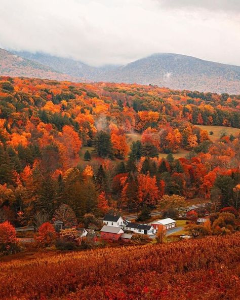 Fall Aesthetic Pictures, Hygge Autumn, Studera Motivation, England Aesthetic, Fall Mood Board, Pumpkin Leaves, Instagram Autumn, Autumn Scenes, Autumn Scenery