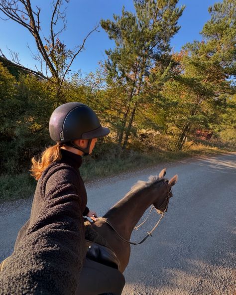 Oktober hittills🫢😍🍁 Horses At Home, Horse Riding Photos, Horse Jumping Aesthetic, Horse Riding Pictures, Horseback Riding Aesthetic, Horses Aesthetic, Preppy Equestrian, Horse Riding Aesthetic, Horsey Life