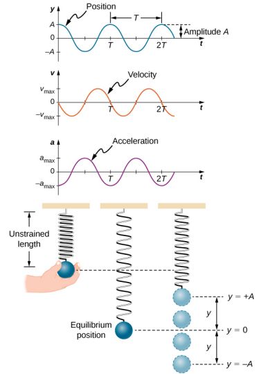 15.2: Simple Harmonic Motion - Physics LibreTexts Simple Harmonic Motion Notes, Circular Motion Physics, Simple Harmonic Motion, Sound Physics, Motion Physics, Motion Energy, Physics Concepts, Physics Notes, Science Notes