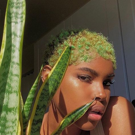 MIVE (@mivefashion) • Instagram photos and videos Green Natural Hair Black Women, Green Natural Hair, Natural Hair Black Women, White Short Hair, Hair Black Women, Short Afro, Hair Black, Rainbow Hair, Hair Art