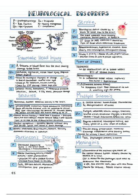 Med-Surg Basics Bundle , Nursing Study Guide, Nursing Cheat Sheet Notes, 15 Pages, Notes for Nursing Students Pathophysiology Nursing, Nursing Interventions, Nursing School Prep, Nursing School Studying Cheat Sheets, Medical Terminology Study, Nursing Study Tips, Nursing Cheat Sheet, Nursing Cheat, Nursing School Essential