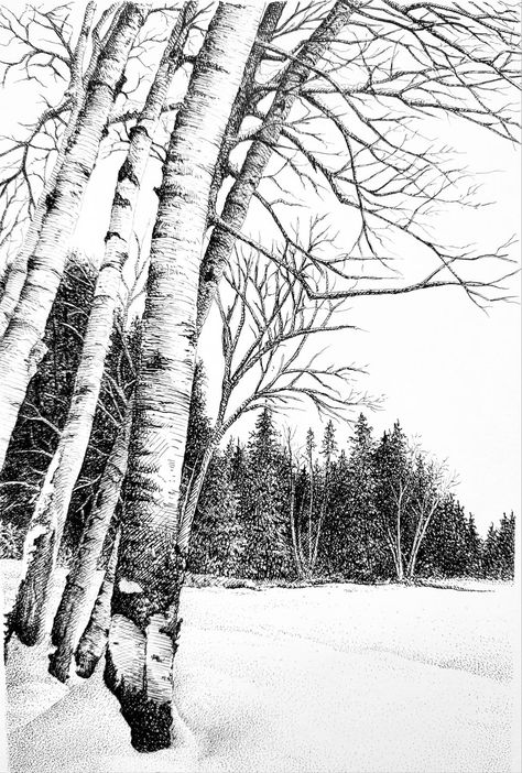 Older Artists Group | "Birches in Snow"Just off the drawing board Snowy Landscape Drawing, Snow Ink Drawing, Winter Drawings, Fineliner Art, Forest Drawing, Snow Forest, Landscape Sketch, Snowy Trees, Snowy Forest