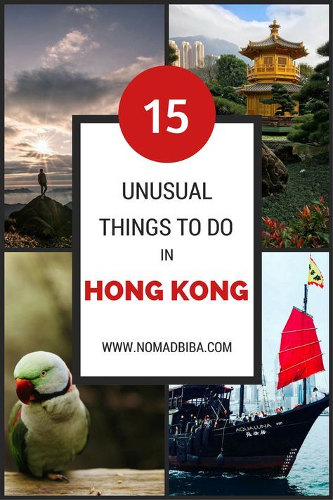 Things to Do in Hong Kong Hong Kong Travel Tips, Macau Travel, Hong Kong Travel Guide, Travel Baby Shower Theme, North Asia, China Trip, Travel Baby Showers, Travel China, Asian Travel