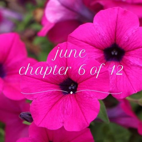 Hello June Chapter 6 Of 12, April Chapter 4 Of 12, June Chapter 6 Of 12, March Chapter 3 Of 12, Month Backgrounds, New Start Quotes, Holiday Season Quotes, Sagittarius Wallpaper, New Month Wishes