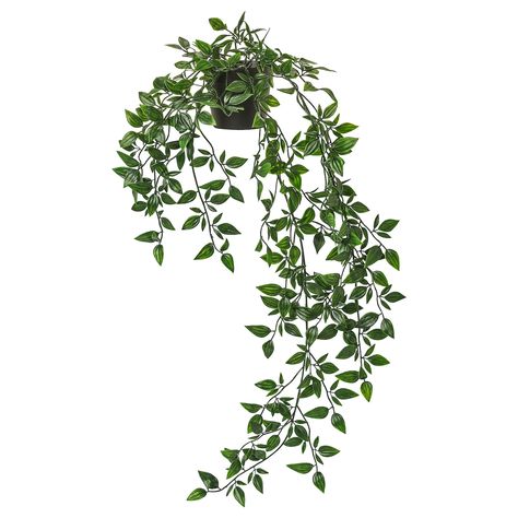 IKEA - FEJKA, Artificial potted plant, in/outdoor, hanging, Pachira Aquatica, Juliette Balcony, Hedera Helix, Artificial Hanging Plants, Picture Ledge, Artificial Potted Plants, Bedroom Plants, Garden Rooms, Ikea Family