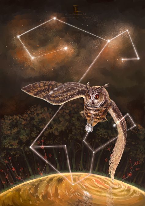 Fantasy Constellation, Guardians Of Ga'hoole, Legend Of The Guardians, Ib Art, Constellation Art, Owl Illustration, Owl Photos, Wise Owl, Owl Art