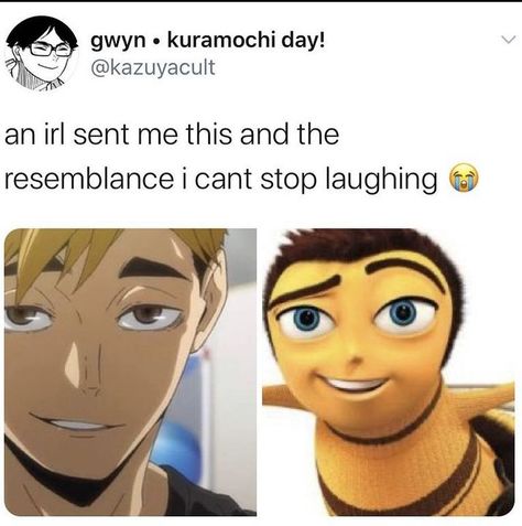 Haikyuu memes - 36 - Page 3 - Wattpad Haikyuu Memes, Haikyuu Meme, Haikyuu Volleyball, Bee Movie, Volleyball Anime, Haikyuu Funny, Haikyuu Manga, Anime Jokes, Haikyuu Characters