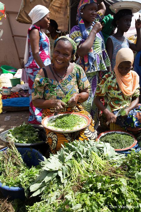 African Life, African Market, Traditional Market, The Gambia, African People, Close Encounters, African Countries, Tree Tops, African Culture