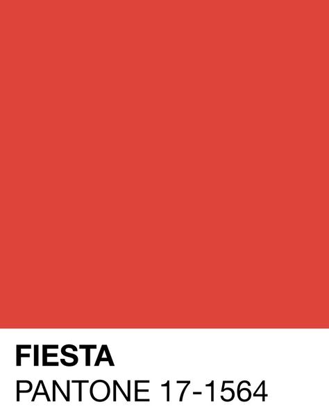 Fiesta Pantone 17-1564 Spring/Summer 2016 Pantone Orange, Pantone 2016, Pantone Swatches, Pantone Palette, Pantone Colour Palettes, Colour Board, Color Stories, Pantone Color, Color Swatches