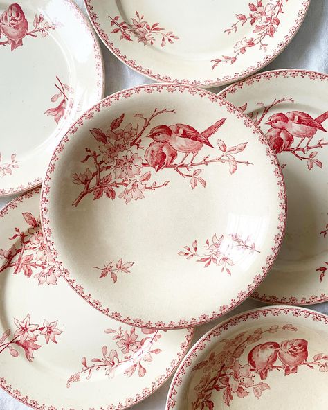 Vente de vaisselle vintage | Assiettes anciennes Vintage Porcelain Plates, Brocante French Vintage, Antique Dinnerware, Vintage Dishware, Porcelain Vintage, Table Setting Inspiration, Brown Transferware, Antique Dishes, Vintage Tableware