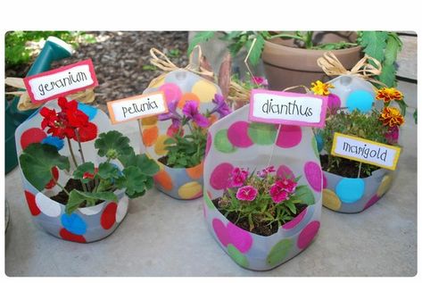 Milk jug flower pots. Made by Alexander County Partnership for Children. #diy #MilkJugs Jug Planters, Bottle Planters, Milk Jug Crafts, Gardening Containers, Old Milk Jugs, Plastic Bottle Planter, Plastic Milk Bottles, Milk Container, Plant Containers